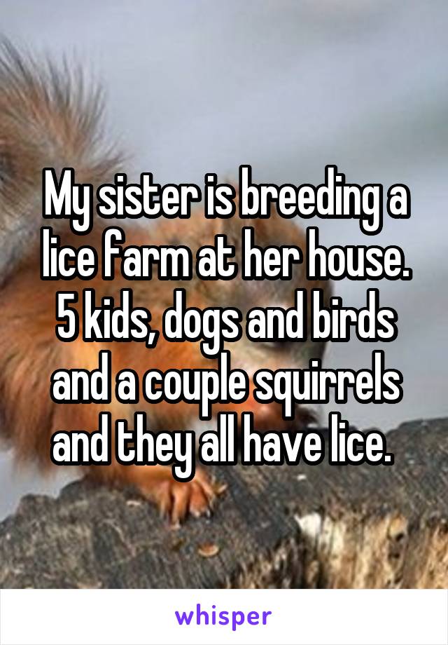 My sister is breeding a lice farm at her house. 5 kids, dogs and birds and a couple squirrels and they all have lice. 