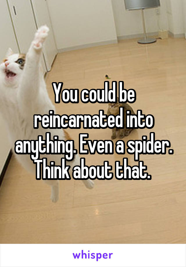 You could be reincarnated into anything. Even a spider. Think about that. 