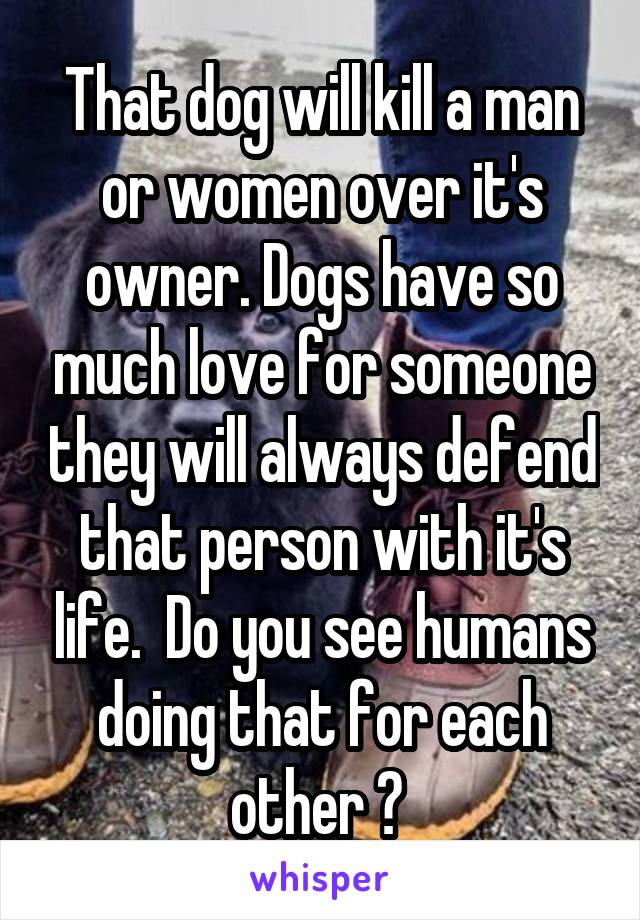 That dog will kill a man or women over it's owner. Dogs have so much love for someone they will always defend that person with it's life.  Do you see humans doing that for each other ? 