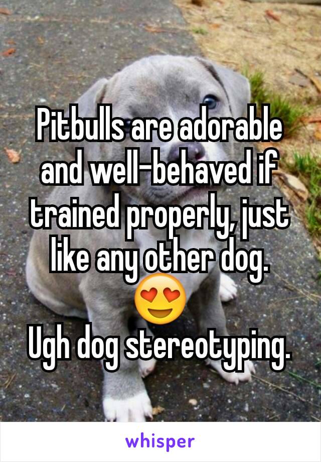 Pitbulls are adorable and well-behaved if trained properly, just like any other dog. 😍
Ugh dog stereotyping.