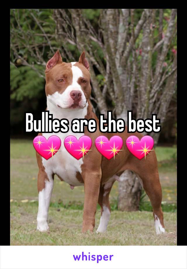 Bullies are the best 💖💖💖💖