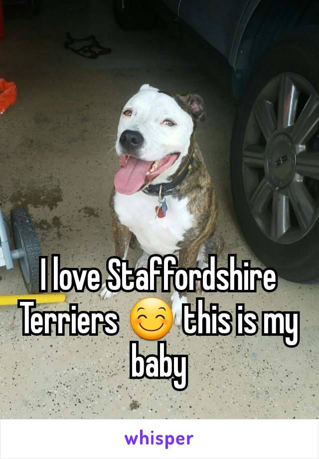 



I love Staffordshire Terriers 😊 this is my baby