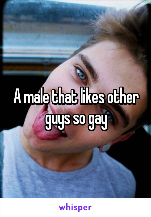 A male that likes other guys so gay