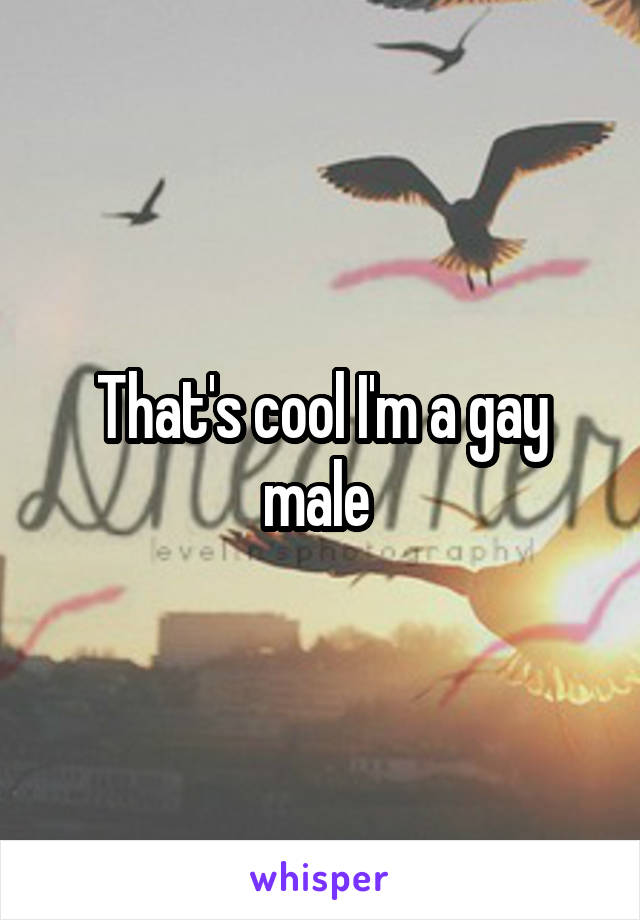 That's cool I'm a gay male 