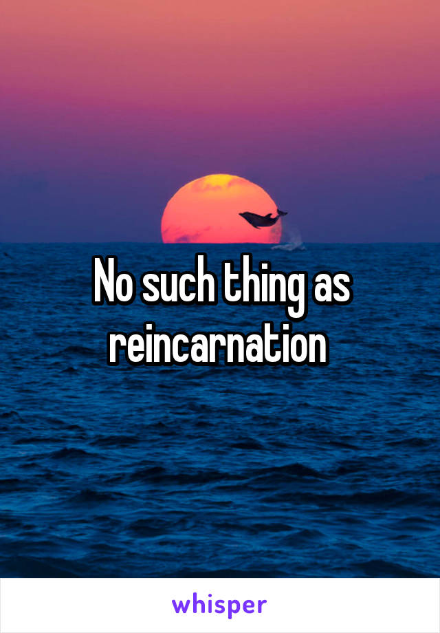 No such thing as reincarnation 
