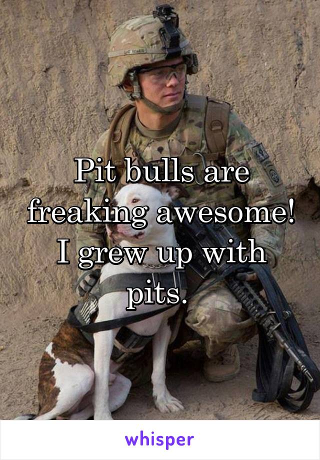 Pit bulls are freaking awesome! I grew up with pits. 