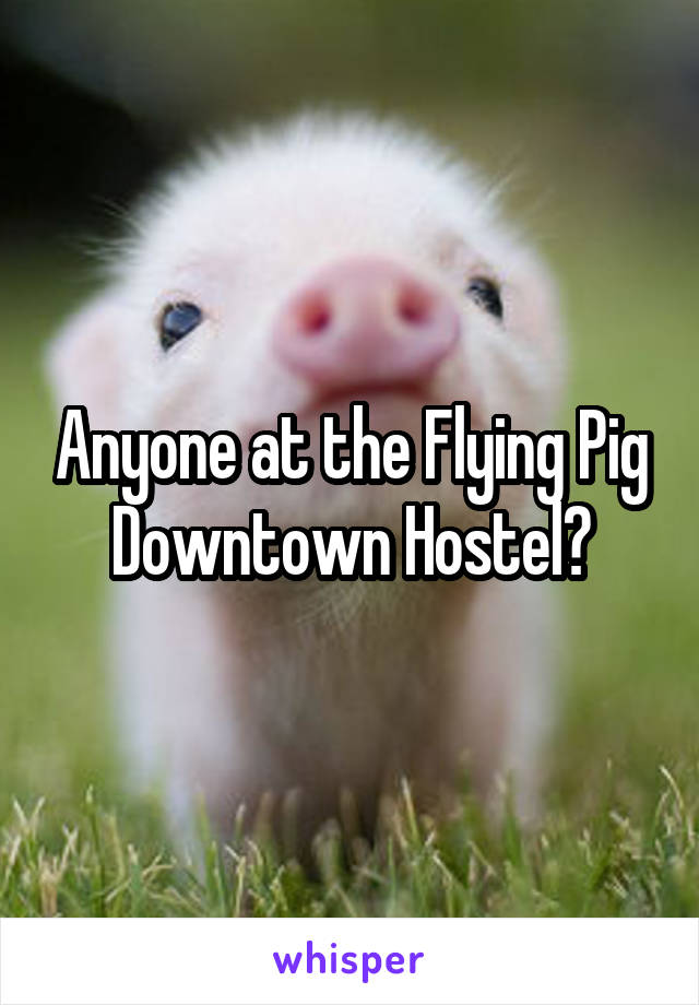 Anyone at the Flying Pig Downtown Hostel?