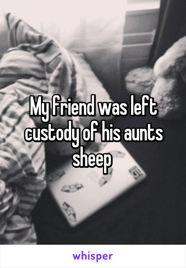 My friend was left custody of his aunts sheep 