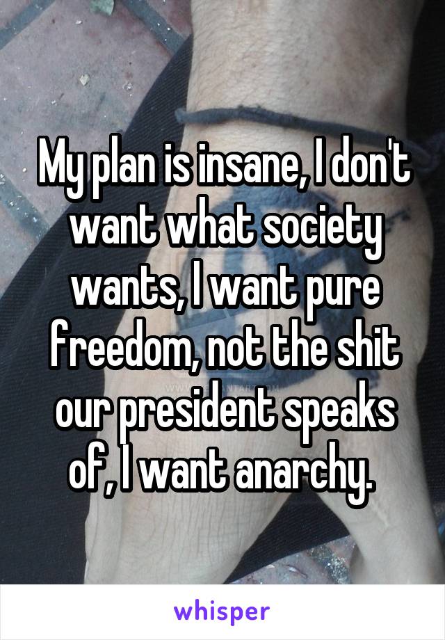 My plan is insane, I don't want what society wants, I want pure freedom, not the shit our president speaks of, I want anarchy. 