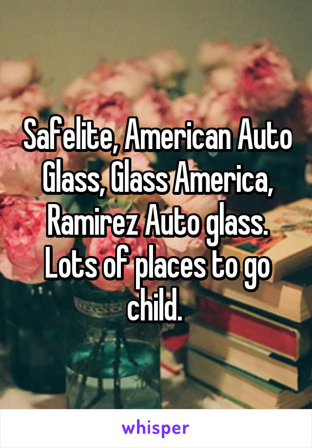 Safelite, American Auto Glass, Glass America, Ramirez Auto glass. Lots of places to go child. 