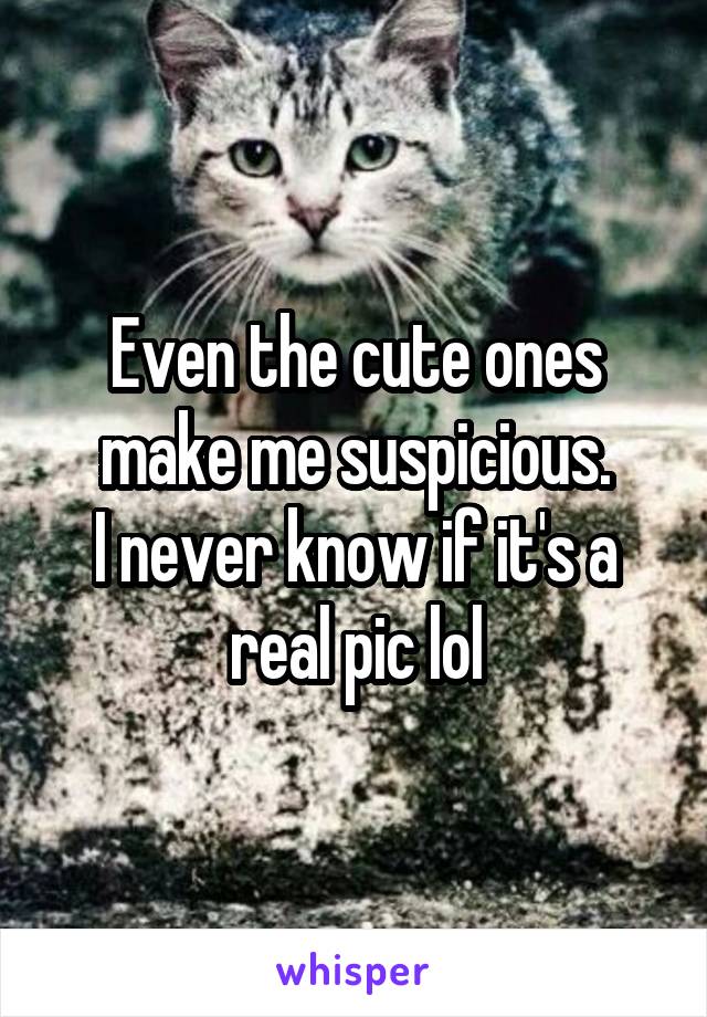 Even the cute ones make me suspicious.
I never know if it's a real pic lol