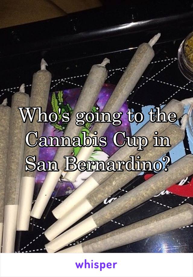 Who's going to the Cannabis Cup in San Bernardino?