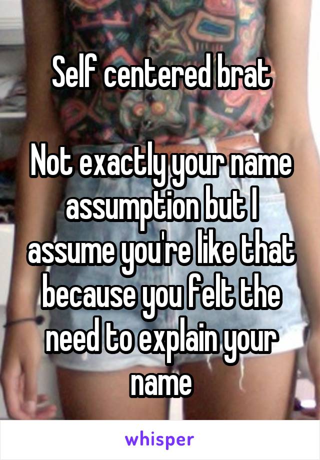 Self centered brat

Not exactly your name assumption but I assume you're like that because you felt the need to explain your name