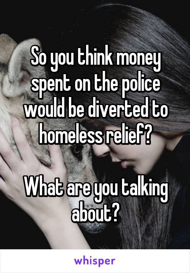 So you think money spent on the police would be diverted to homeless relief?

What are you talking about?