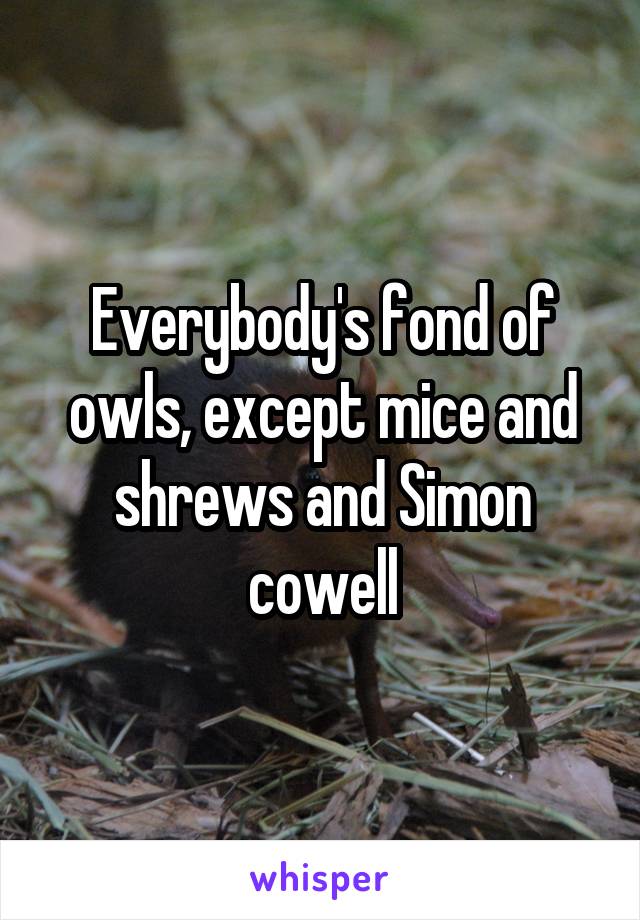 Everybody's fond of owls, except mice and shrews and Simon cowell
