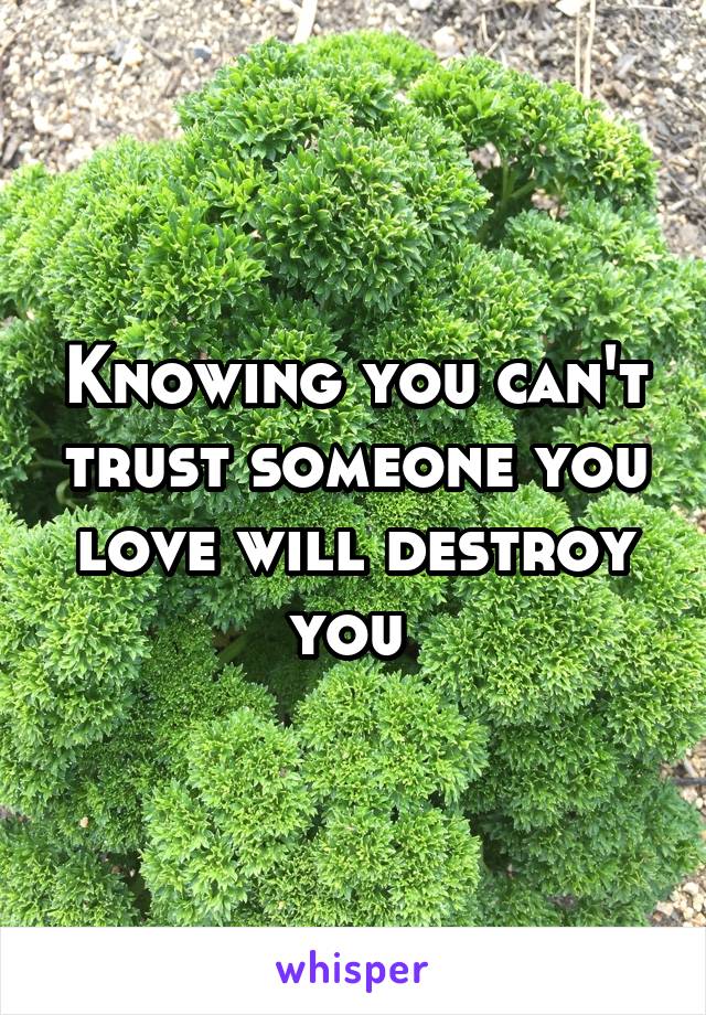 Knowing you can't trust someone you love will destroy you 