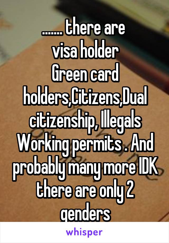....... there are 
visa holder
Green card holders,Citizens,Dual citizenship, Illegals
Working permits . And probably many more IDK there are only 2 genders