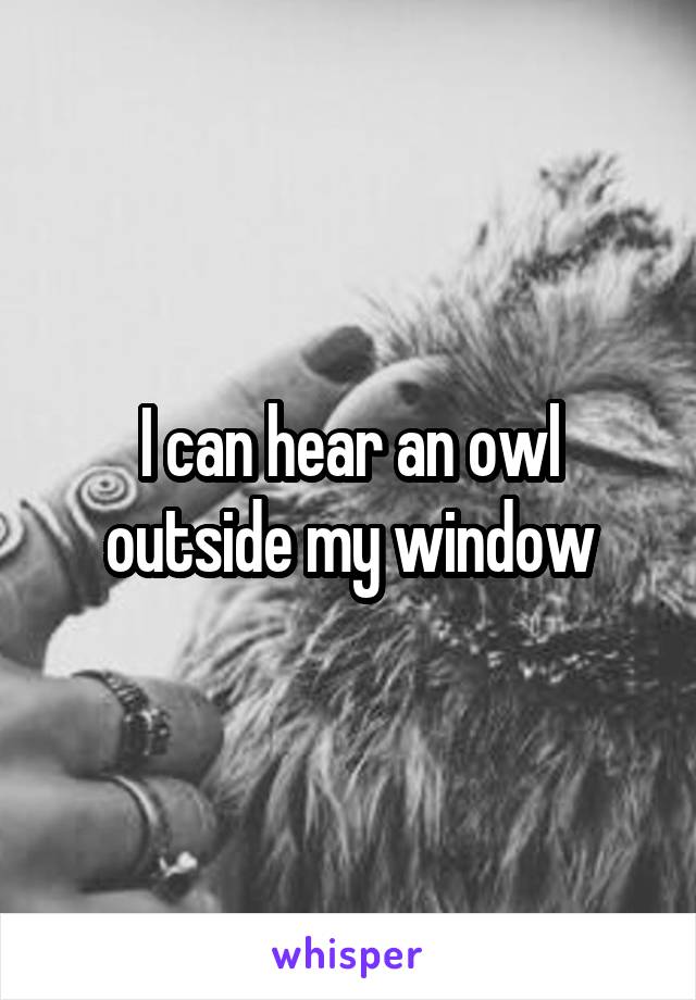 I can hear an owl outside my window
