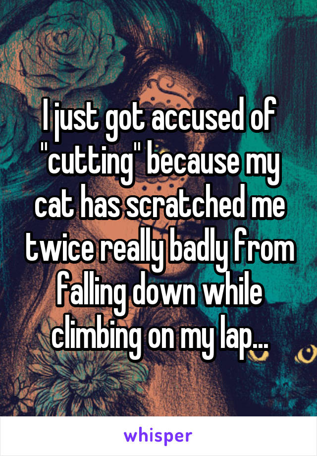 I just got accused of "cutting" because my cat has scratched me twice really badly from falling down while climbing on my lap...