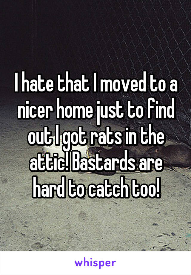 I hate that I moved to a nicer home just to find out I got rats in the attic! Bastards are hard to catch too!