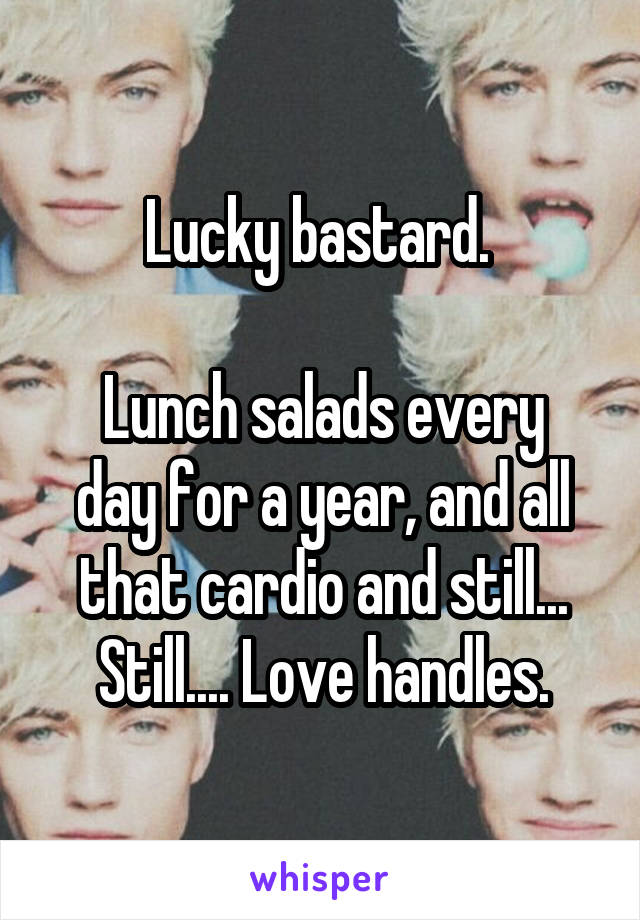 Lucky bastard. 

Lunch salads every day for a year, and all that cardio and still... Still.... Love handles.