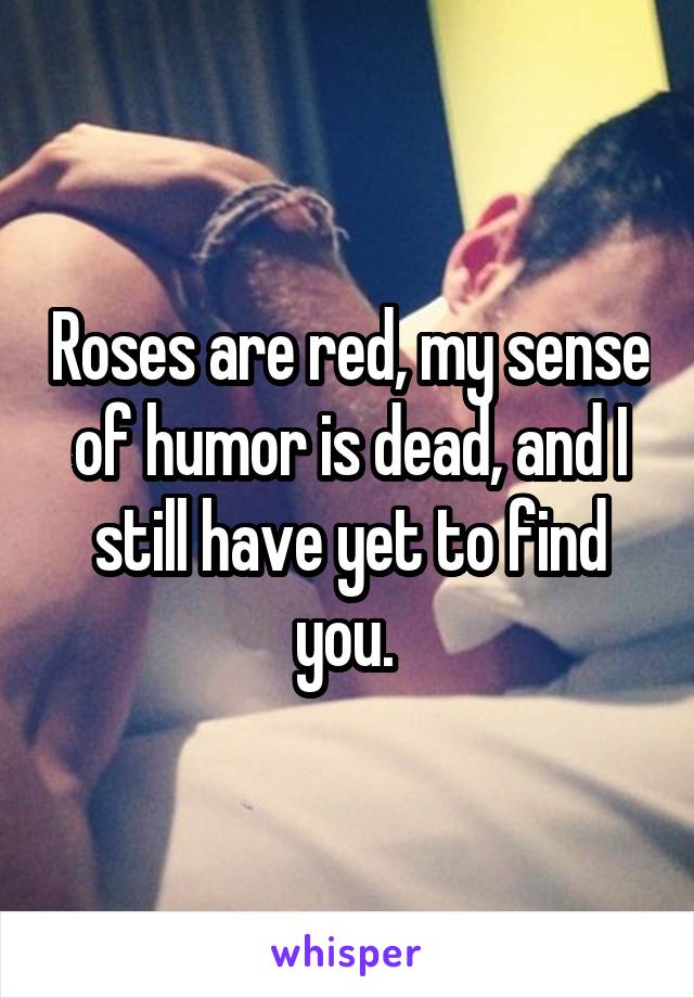 Roses are red, my sense of humor is dead, and I still have yet to find you. 