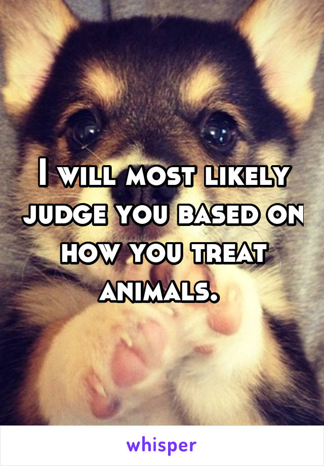 I will most likely judge you based on how you treat animals. 