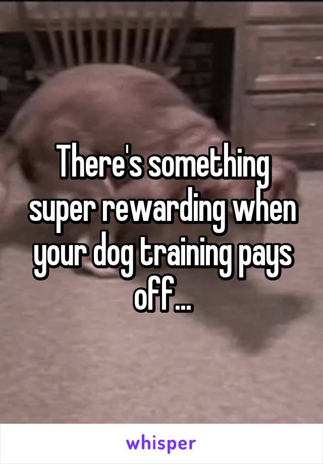 There's something super rewarding when your dog training pays off...