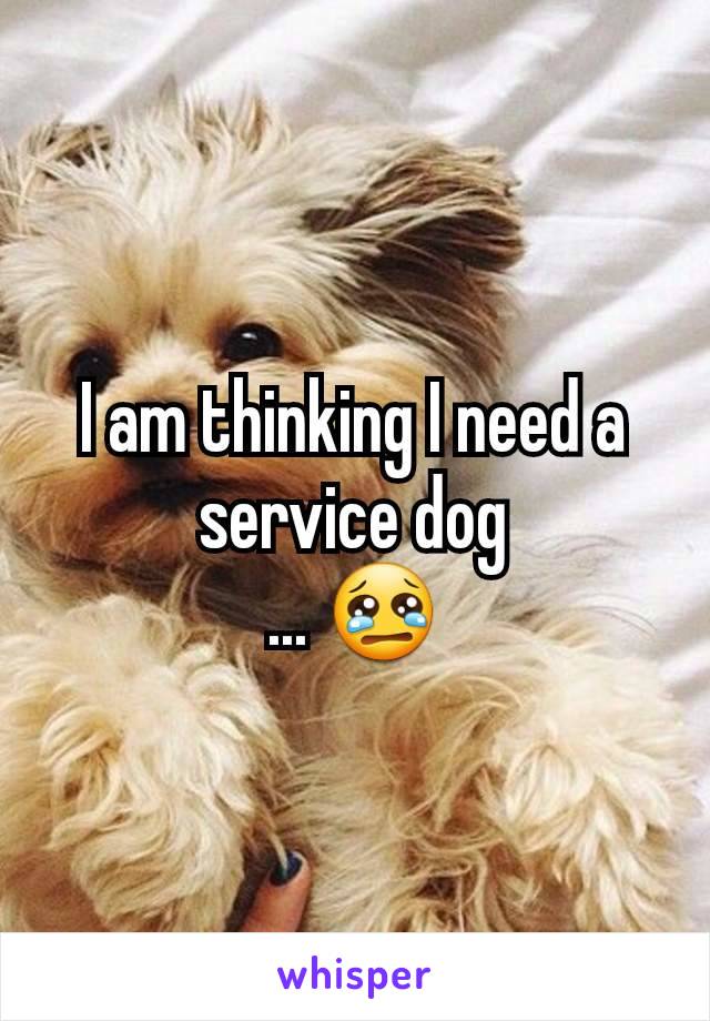 I am thinking I need a service dog
... 😢