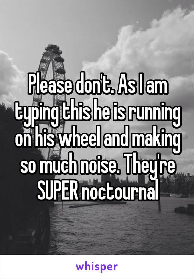 Please don't. As I am typing this he is running on his wheel and making so much noise. They're SUPER noctournal
