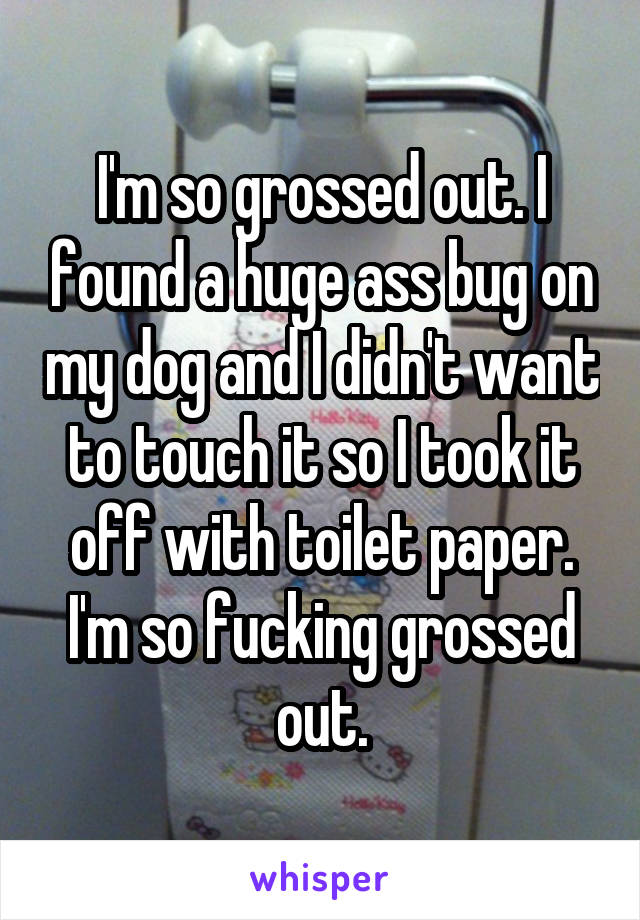I'm so grossed out. I found a huge ass bug on my dog and I didn't want to touch it so I took it off with toilet paper. I'm so fucking grossed out.