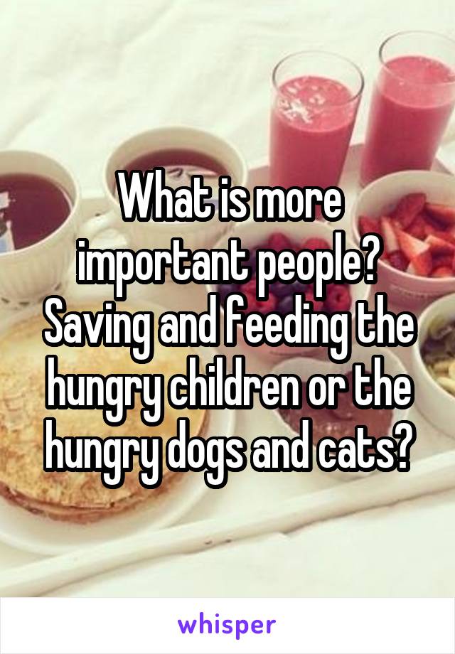 What is more important people? Saving and feeding the hungry children or the hungry dogs and cats?