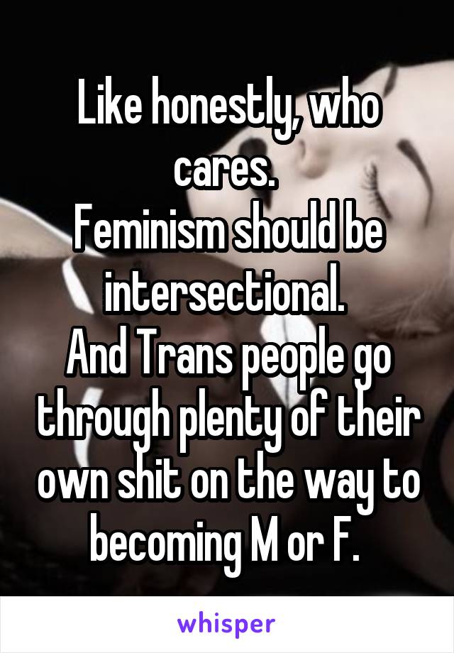 Like honestly, who cares. 
Feminism should be intersectional. 
And Trans people go through plenty of their own shit on the way to becoming M or F. 
