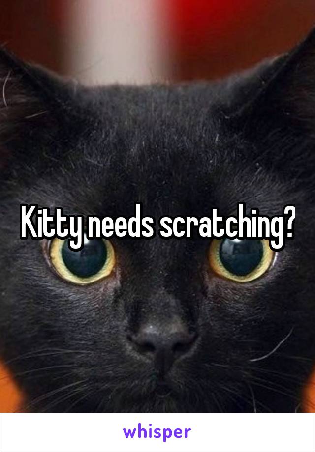 Kitty needs scratching?