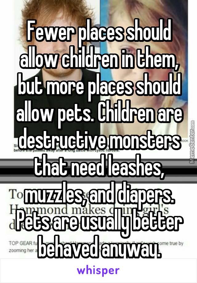 Fewer places should allow children in them, but more places should allow pets. Children are destructive monsters that need leashes, muzzles, and diapers. Pets are usually better behaved anyway.