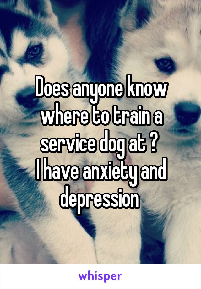 Does anyone know where to train a service dog at ? 
I have anxiety and depression 