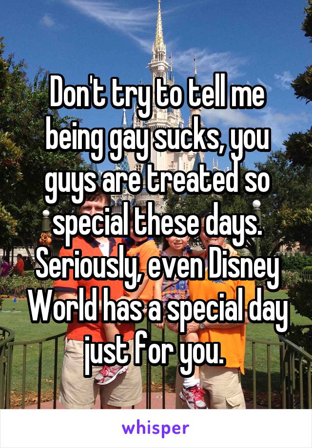 Don't try to tell me being gay sucks, you guys are treated so special these days. Seriously, even Disney World has a special day just for you. 
