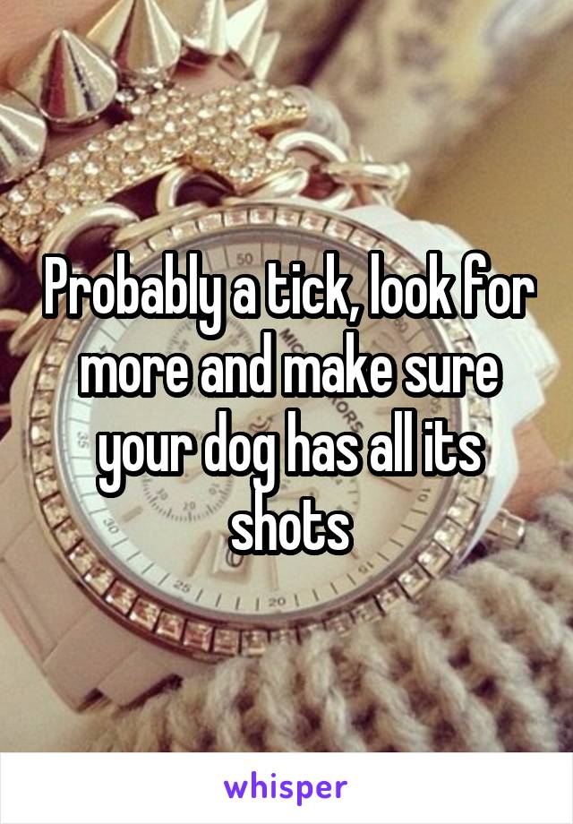 Probably a tick, look for more and make sure your dog has all its shots