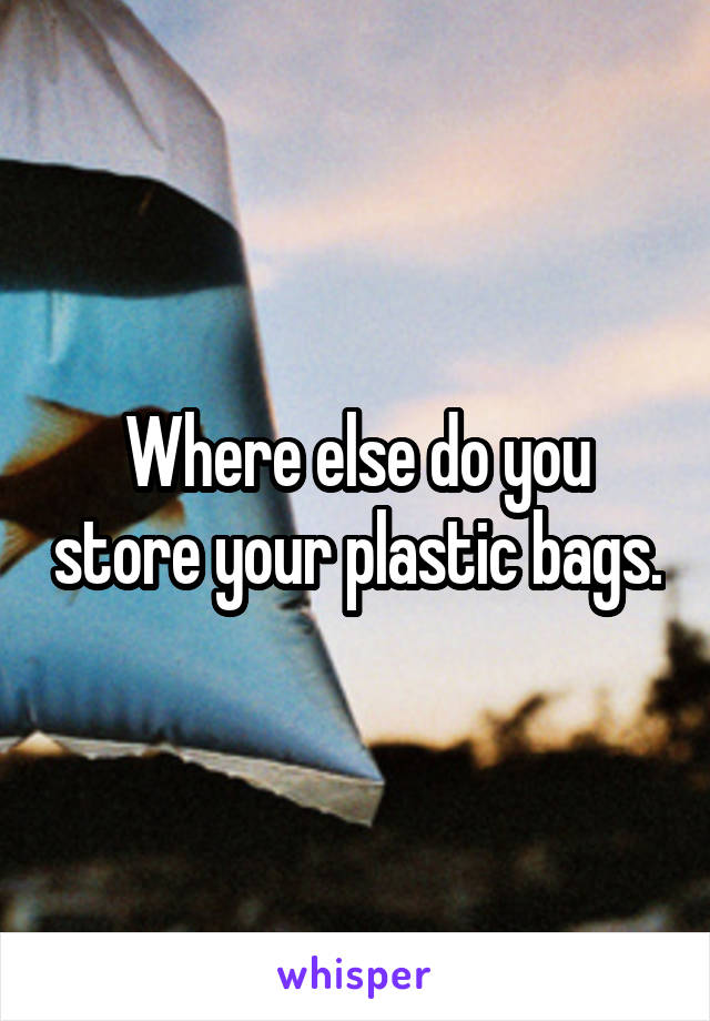 Where else do you store your plastic bags.