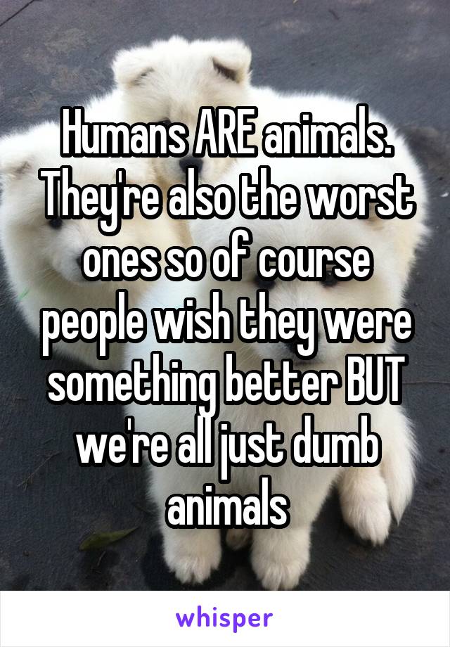 Humans ARE animals. They're also the worst ones so of course people wish they were something better BUT we're all just dumb animals
