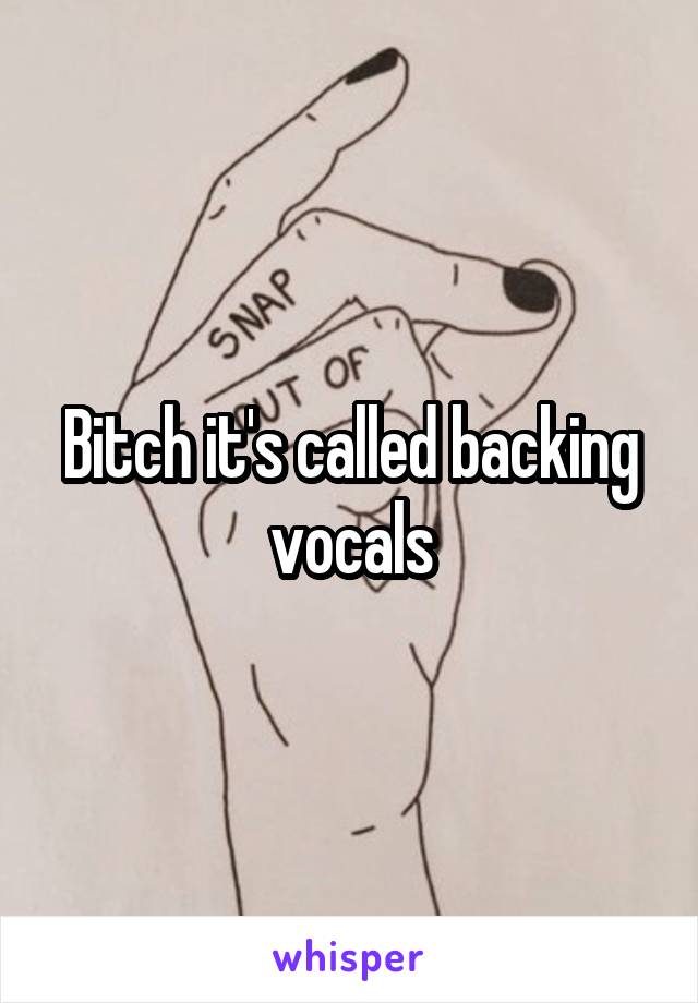 Bitch it's called backing vocals
