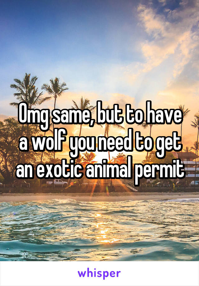 Omg same, but to have a wolf you need to get an exotic animal permit