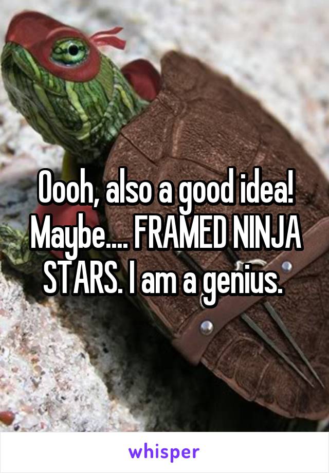 Oooh, also a good idea! Maybe.... FRAMED NINJA STARS. I am a genius. 