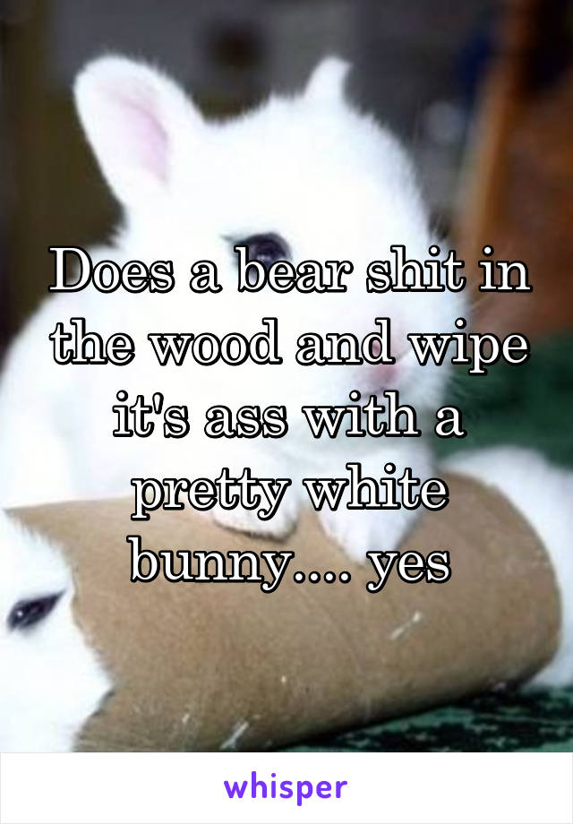 Does a bear shit in the wood and wipe it's ass with a pretty white bunny.... yes