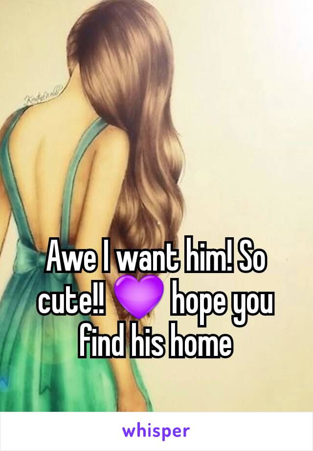 Awe I want him! So cute!! 💜 hope you find his home