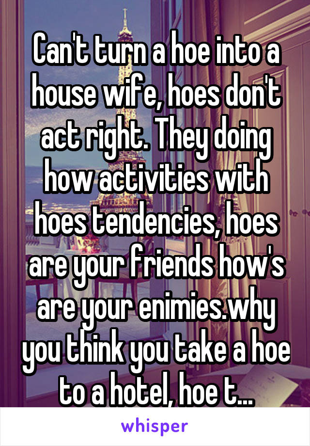 Can't turn a hoe into a house wife, hoes don't act right. They doing how activities with hoes tendencies, hoes are your friends how's are your enimies.why you think you take a hoe to a hotel, hoe t...
