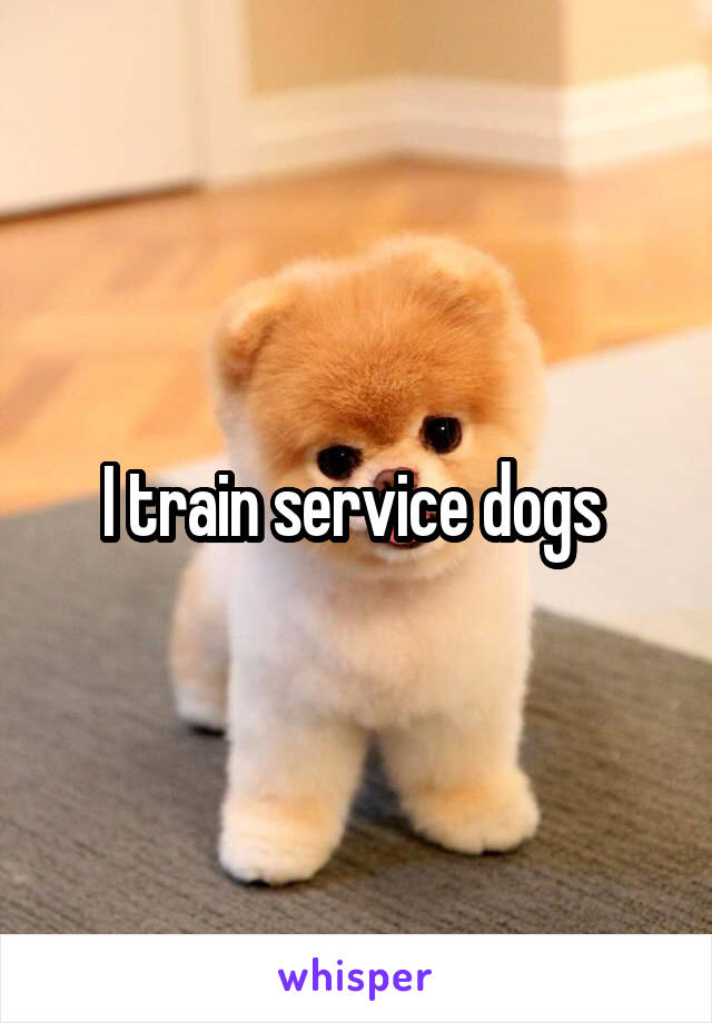 I train service dogs 
