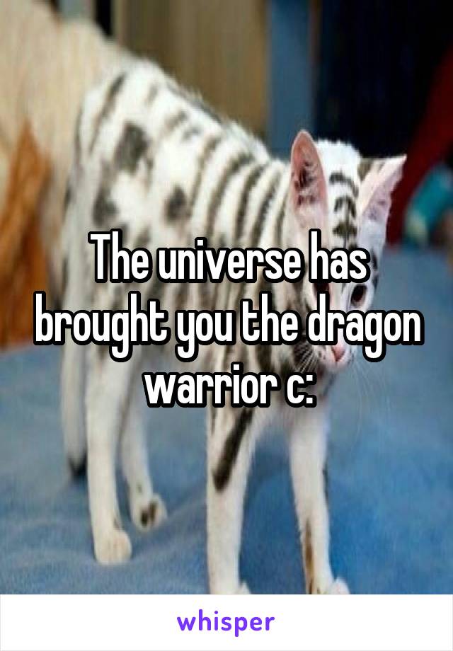 The universe has brought you the dragon warrior c: