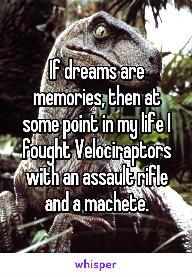 If dreams are memories, then at some point in my life I fought Velociraptors with an assault rifle and a machete.