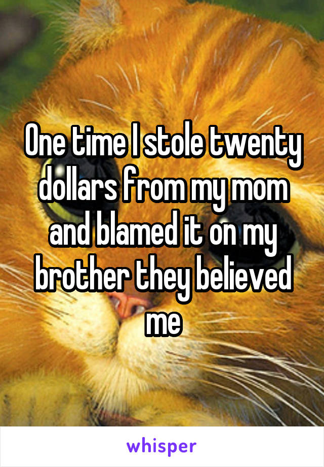 One time I stole twenty dollars from my mom and blamed it on my brother they believed me